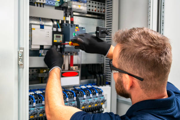 Best Electric Panel Repair  in Cibolo, TX
